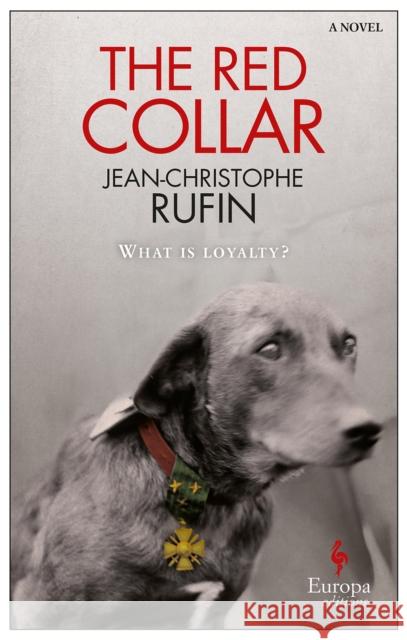 The Red Collar Jean Christophe Rufin 9781609452735 Europa Editions - książka