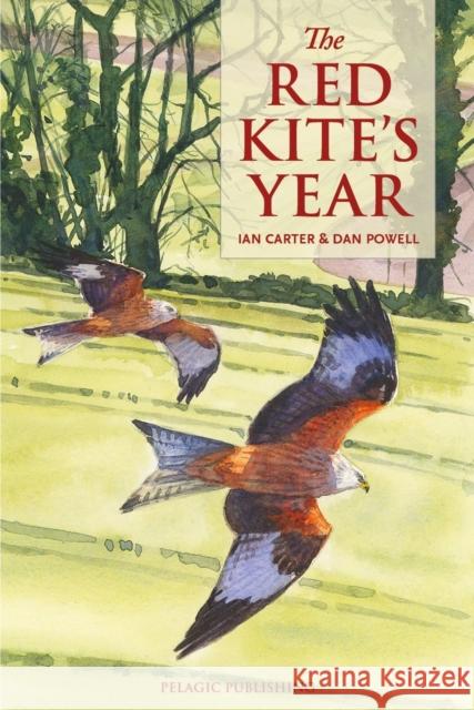 The Red Kite's Year Ian Carter Dan Powell  9781784272005 Pelagic Publishing - książka