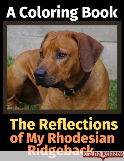 The Reflections of My Rhodesian Ridgeback: A Coloring Book Brightview Activit 9781708495848 Independently Published - książka