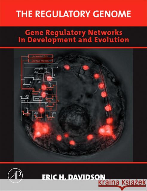 The Regulatory Genome: Gene Regulatory Networks in Development and Evolution Davidson, Eric H. 9780120885633 Academic Press - książka