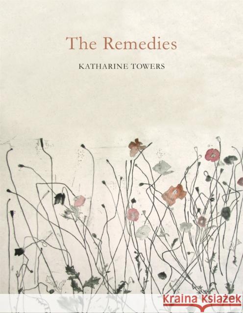 The Remedies Katharine Towers 9781509813056 PICADOR - książka