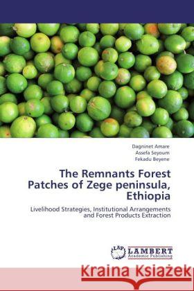 The Remnants Forest Patches of Zege Peninsula, Ethiopia Dagninet Amare, Assefa Seyoum, Fekadu Beyene 9783848403547 LAP Lambert Academic Publishing - książka