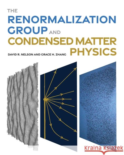 The Renormalization Group and Condensed Matter Physics Grace H. Zhang 9780691257907 Princeton University Press - książka