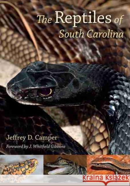 The Reptiles of South Carolina: Foreword by J. Whitfield Gibbons Camper, Jeffrey D. 9781611179484 University of South Carolina Press - książka