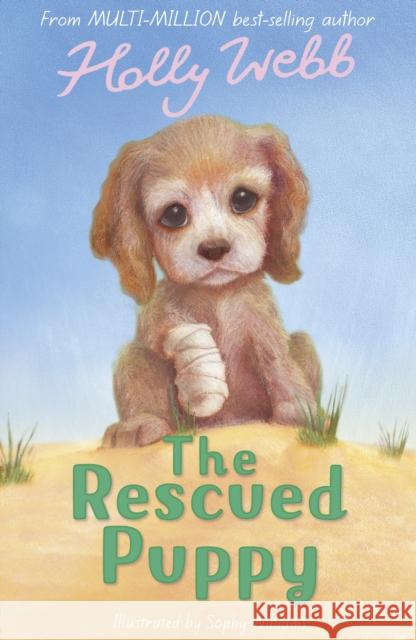 The Rescued Puppy Holly Webb 9781847151681 Little Tiger Press Group - książka