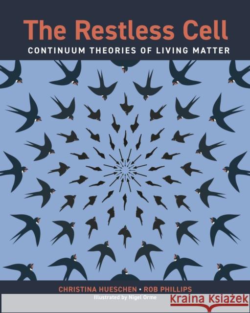 The Restless Cell: Continuum Theories of Living Matter Rob Phillips 9780691236360 Princeton University Press - książka