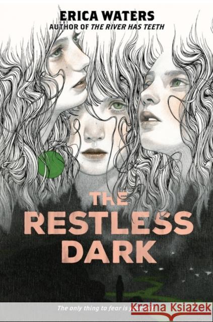 The Restless Dark Erica Waters 9780063115903 HarperCollins Publishers Inc - książka