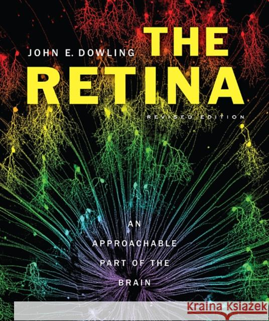 The Retina: An Approachable Part of the Brain Dowling, John E. 9780674061545 Belknap Press - książka