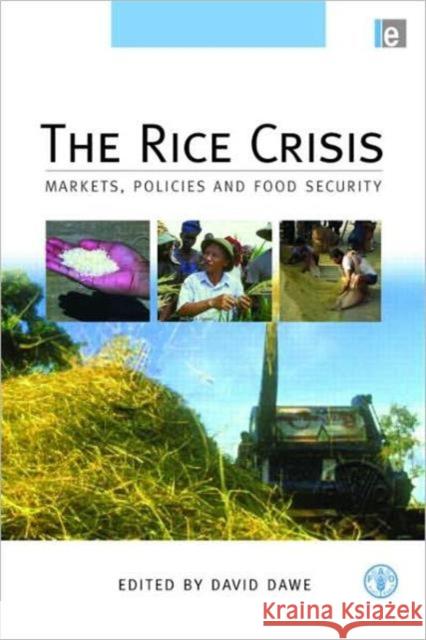 The Rice Crisis: Markets, Policies and Food Security Dawe, David 9781849711340  - książka