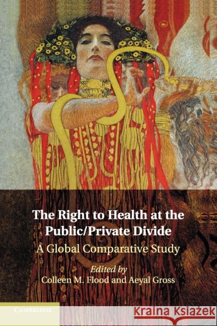 The Right to Health at the Public/Private Divide: A Global Comparative Study Flood, Colleen M. 9781316507544 Cambridge University Press - książka