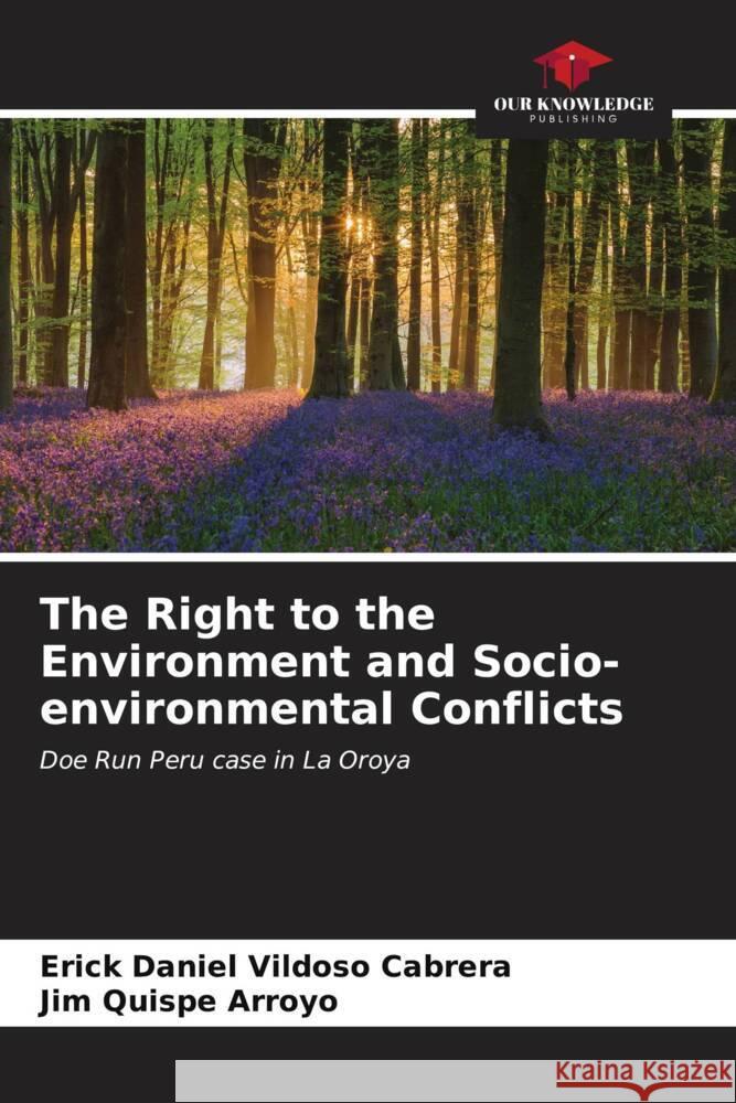 The Right to the Environment and Socio-environmental Conflicts Vildoso Cabrera, Erick Daniel, Quispe Arroyo, Jim 9786206571711 Our Knowledge Publishing - książka