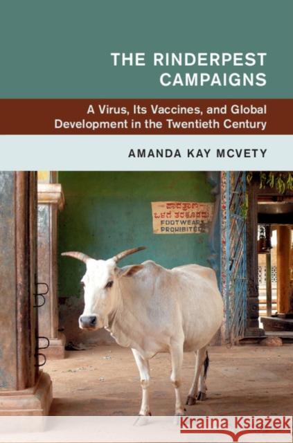 The Rinderpest Campaigns: A Virus, Its Vaccines, and Global Development in the Twentieth Century Amanda Kay McVety 9781108422741 Cambridge University Press - książka