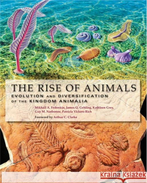 The Rise of Animals: Evolution and Diversification of the Kingdom Animalia Fedonkin, Mikhail A. 9780801886799 Johns Hopkins University Press - książka