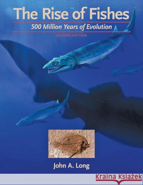 The Rise of Fishes: 500 Million Years of Evolution Long, John A. 9780801896958 Johns Hopkins University Press - książka