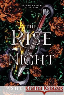 The Rise of Night: A Dark Fantasy Romance Ashley Bresee 9781069612809 Ashley Bresee - książka