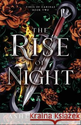 The Rise of Night: A Dark Fantasy Romance Ashley Bresee 9781738216390 Ashley Bresee - książka