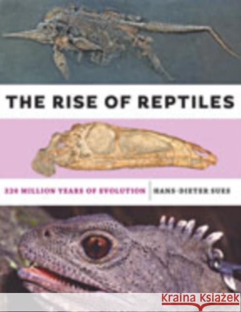 The Rise of Reptiles: 320 Million Years of Evolution Hans-Dieter Sues 9781421428673 Johns Hopkins University Press - książka