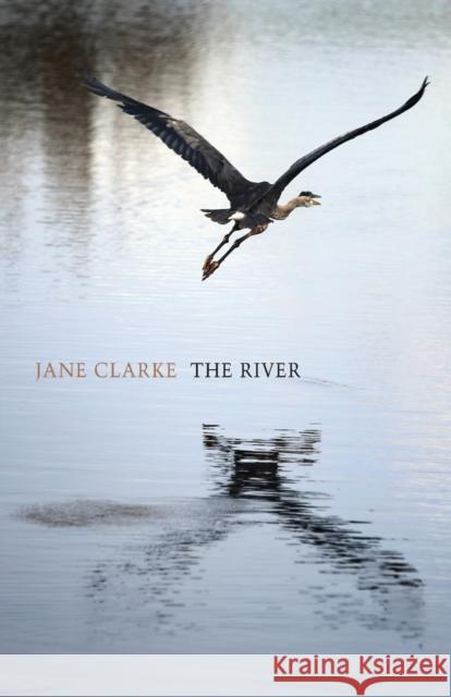 The River Jane Clarke 9781780372532 Bloodaxe Books Ltd - książka