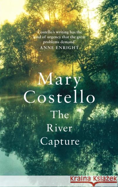 The River Capture Mary Costello 9781782116431 Canongate Books - książka