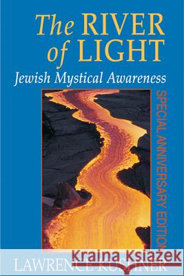 The River of Light Kushner, Lawrence 9781580230964 Jewish Lights Publishing - książka