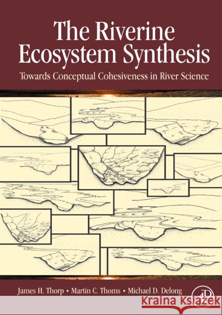 The Riverine Ecosystem Synthesis: Toward Conceptual Cohesiveness in River Science Thorp, James H. 9780123706126  - książka