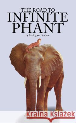 The Road to Infinite Phant Barrington Strydom 9781412043229 Trafford Publishing - książka