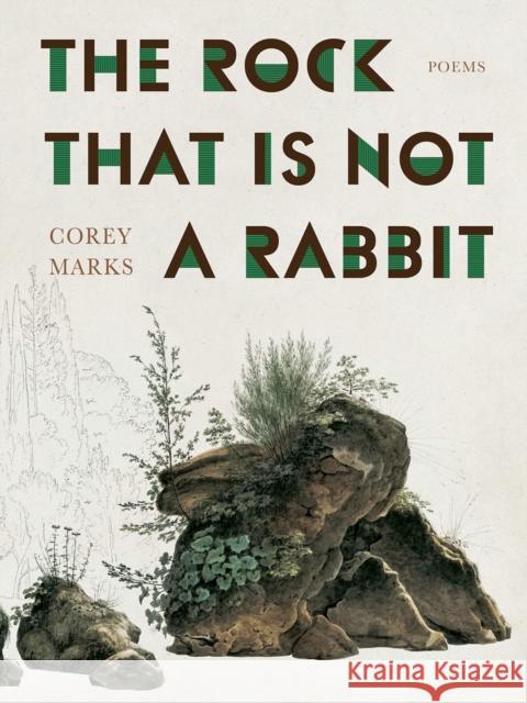 The Rock That is Not a Rabbit Corey Marks 9780822967156 University of Pittsburgh Press - książka