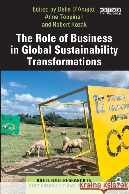 The Role of Business in Global Sustainability Transformations Dalia D'Amato Anne Toppinen Robert Kozak 9780367434830 Taylor & Francis Ltd - książka