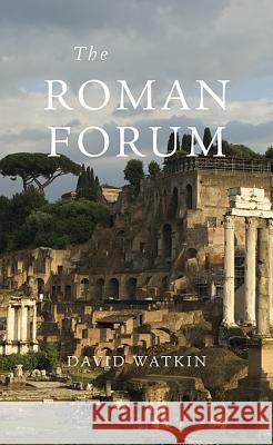 The Roman Forum David Watkin 9780674066304 Harvard University Press - książka