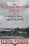 The Romano-British Villa at Castle Copse, Great Bedwyn Eric Hostetter Thomas Noble Howe 9780253328021 Indiana University Press