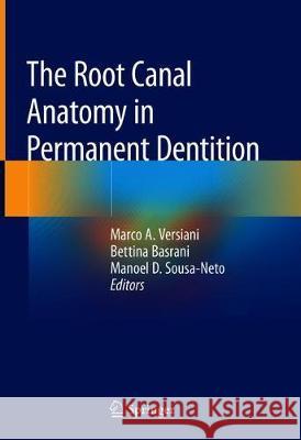 The Root Canal Anatomy in Permanent Dentition Marco A. Versiani Bettina Basrani Manoel D. Sousa-Neto 9783319734439 Springer - książka