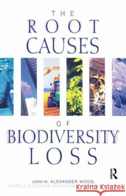 The Root Causes of Biodiversity Loss Alexander Wood Pamela Stedman-Edwards Johanna Mang 9781138160194 Routledge - książka