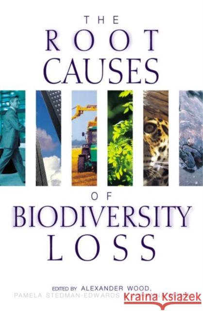 The Root Causes of Biodiversity Loss Pamela Stedman-Edwards Johanna Mang Alexander Wood 9781853836992 Earthscan Publications - książka