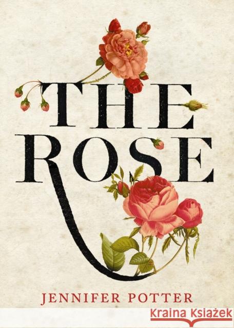 The Rose Jennifer Potter 9781848878341  - książka