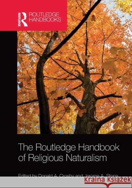 The Routledge Handbook of Religious Naturalism Donald A. Crosby Jerome A. Stone 9780367580896 Routledge - książka