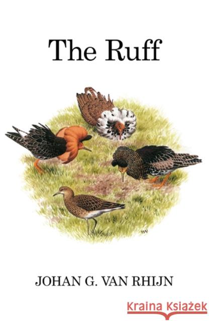 The Ruff Johan G. Van Rhijn 9781408136782 Bloomsbury Publishing PLC - książka