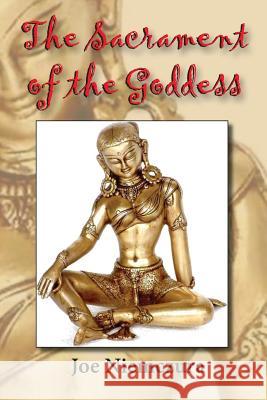 The Sacrament of the Goddess Joe Niemczura 9781632100023 Plain View Press - książka