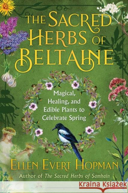 The Sacred Herbs of Spring: Magical, Healing, and Edible Plants to Celebrate Beltaine Hopman, Ellen Evert 9781644110652 Destiny Books - książka