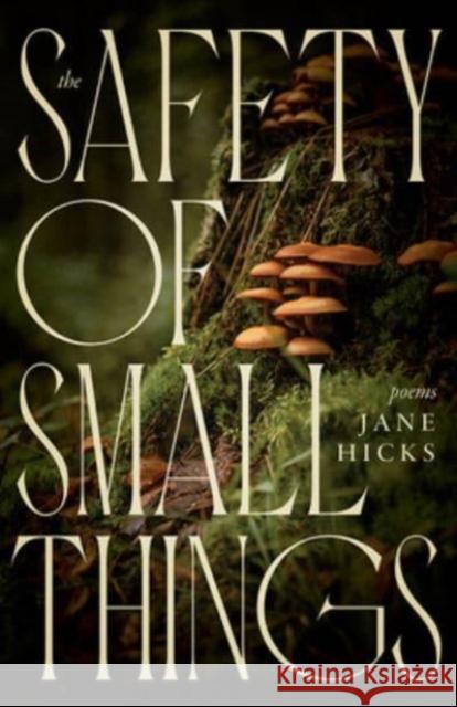 The Safety of Small Things: Poems Jane Hicks 9781950564361 Fireside Industries - książka