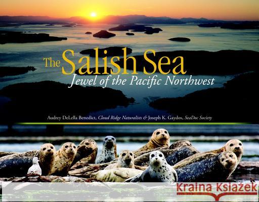 The Salish Sea: Jewel of the Pacific Northwest Audrey Delell Joe Gaydos 9781570619854 Sasquatch Books - książka