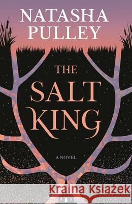 The Salt King Natasha Pulley 9781639737291 Bloomsbury Publishing - książka