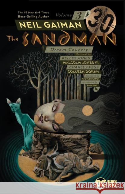 The Sandman Vol. 3: Dream Country 30th Anniversary Edition Gaiman, Neil 9781401285487 DC Comics - książka