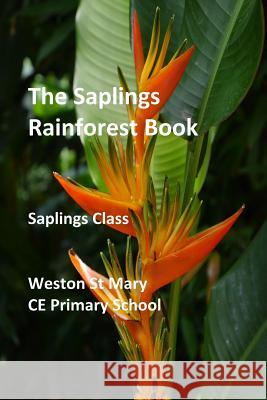 The Saplings Rainforest Book Weston St Mary School (Sapling 9780244001971 Lulu.com - książka