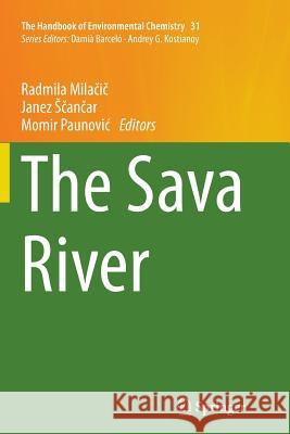 The Sava River Radmila Mil Janez A Momir Paunovi 9783662523841 Springer - książka