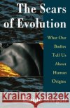 The Scars of Evolution Elaine Morgan 9780195094312 Oxford University Press