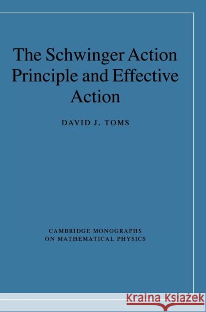 The Schwinger Action Principle and Effective Action David J. Toms 9780521876766 Cambridge University Press - książka