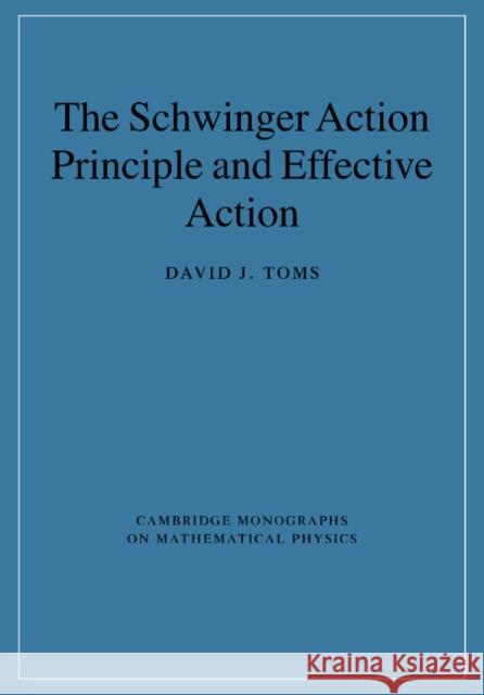 The Schwinger Action Principle and Effective Action David J. Toms 9781107406308 Cambridge University Press - książka