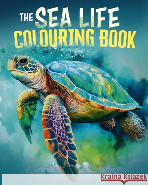 The Sea Life Colouring Book: Over 45 Images to Colour Tansy Willow 9781398840201 Arcturus Publishing Ltd - książka