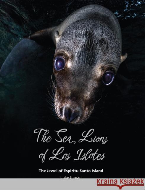 The Sea Lions of Los Islotes: The Jewel of Espiritu Santo Island Luke Inman 9781909455498 Dived Up Publications - książka
