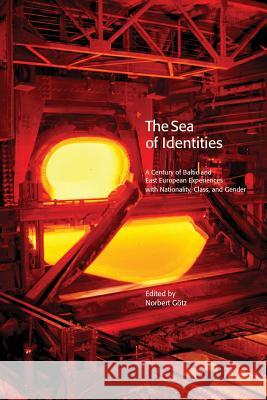The Sea of Identities: A Century of Baltic and East European Experiences with Nationality, Class, and Gender. Norbert Gotz Janne Holmen Hakan Blomqvist 9789187843006 Sodertorn University - książka